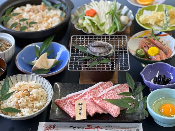 【兵庫県内発】 絶景の藤のカーテン「白毫寺」九尺藤と一億輪の芝桜!「花のじゅうたん」 日帰り3
